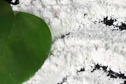 Stanozol powder Stanozol powder