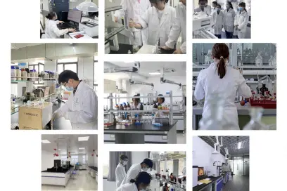 research and development research and development