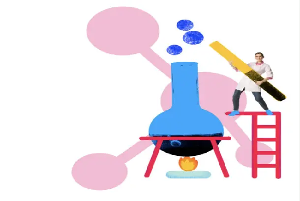 Main functions and mechanisms of action