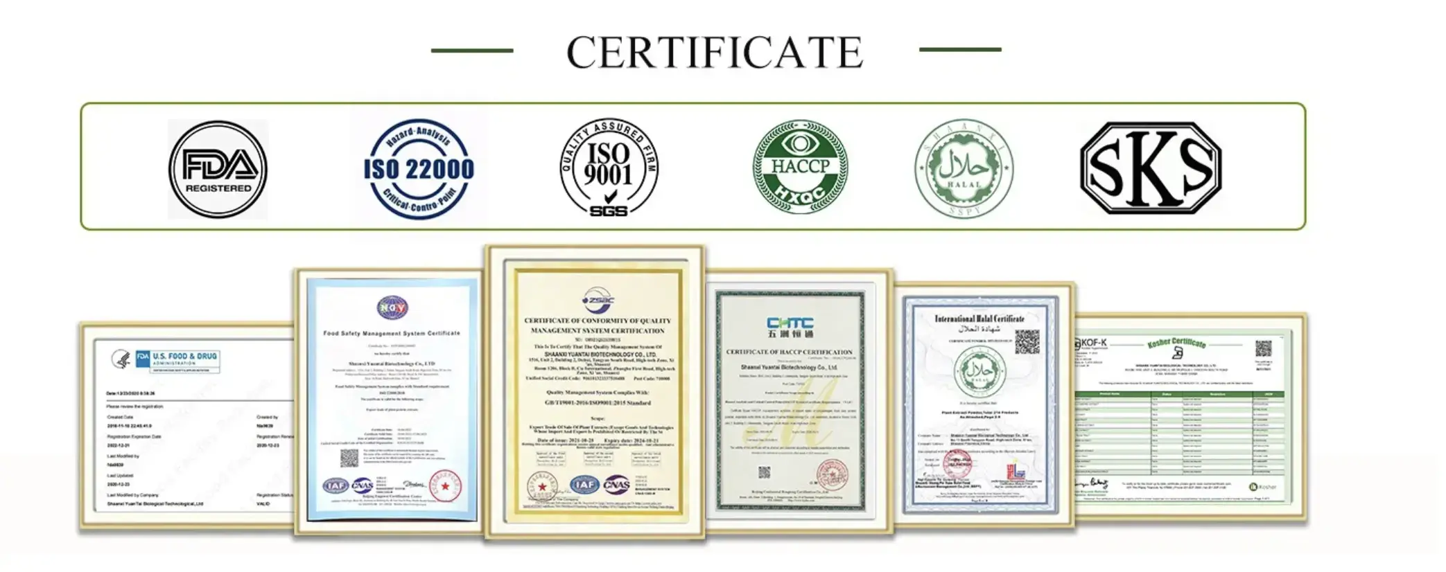International Quality Certification and Standards International Quality Certification and Standards