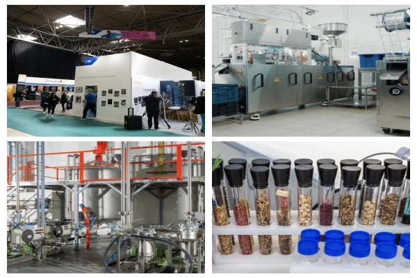 Environment and Exhibition